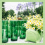 Melon Ball Summer