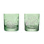 Snail and Mushroom Crystal Tumbler
