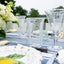 Acrylic Bubble Tumbler Clear