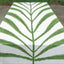 Hand Painted Fern Tablecloth