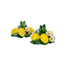 Pair of Lemon Candlestick Holders