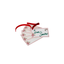 Santa Gift Tags (Set of 6)