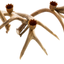 Montana's Handmade Antler Candelabra
