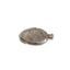 Antique Silver Fish Flask